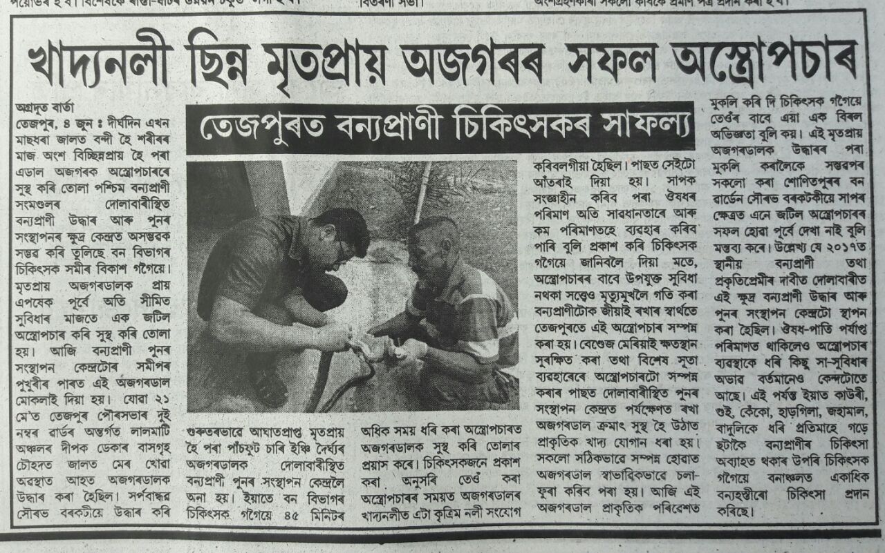 Multiple Snake rescue and treatment in Assam