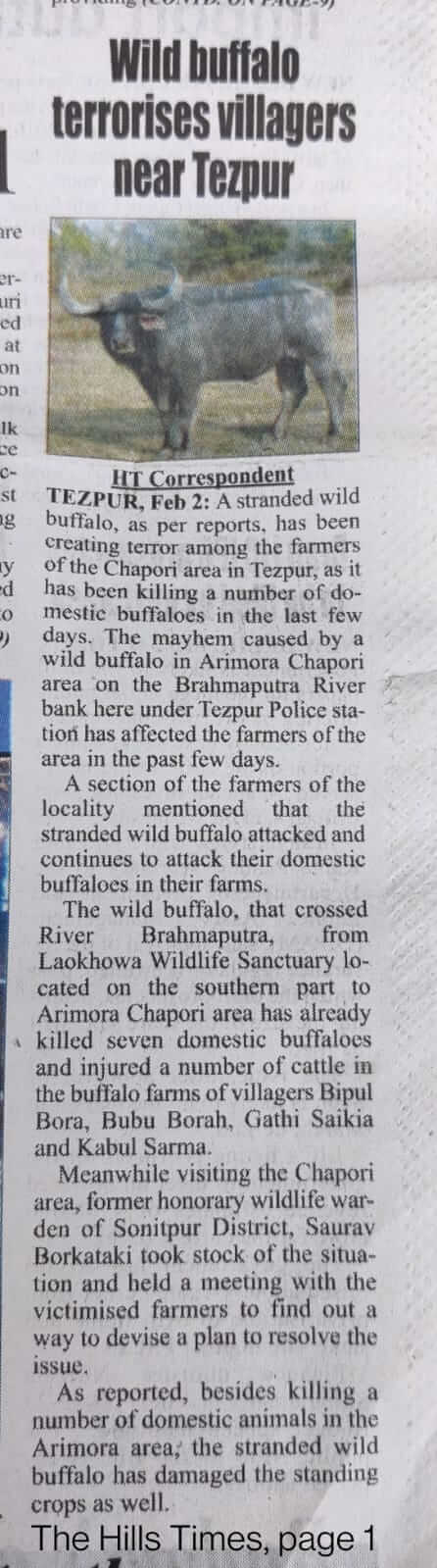 Wild Buffalo terrorises villagers near Tezpur